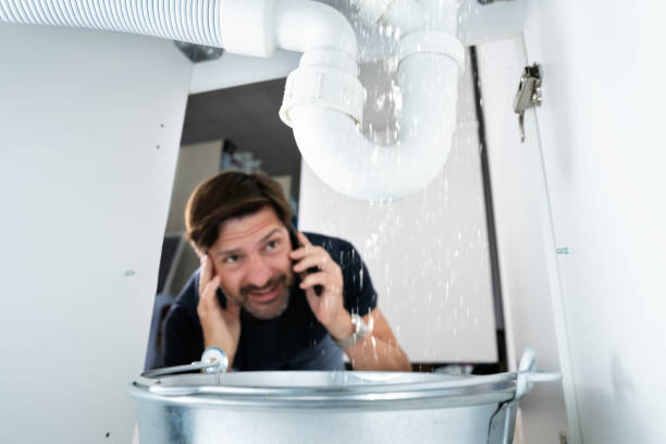 Best Affordable Plumber Near Me  in Eveleth, MN